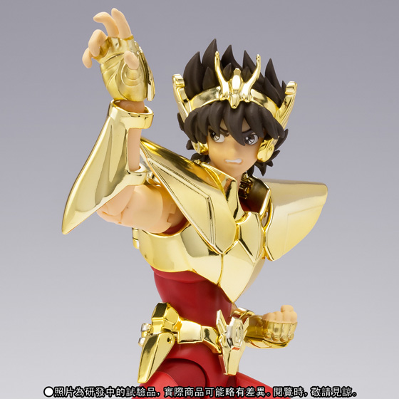 SAINT CLOTH MYTH EX PHOENIX IKKI 【NEW BRONZE CLOTH】～GOLDEN LIMITED EDITION～